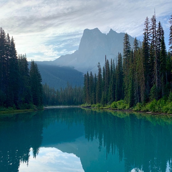 Meet your Posher, Maggie - Picture 1 of 1